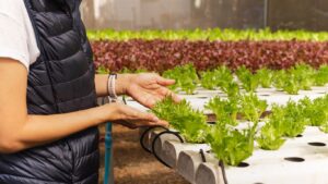 the benefits of plant nurseries webfreen.com