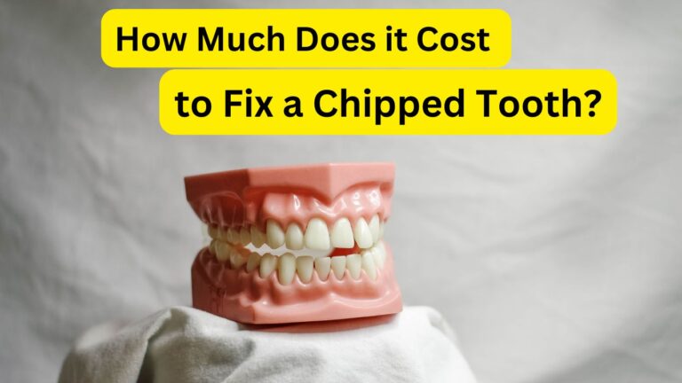 how much does it cost to fix a chipped tooth